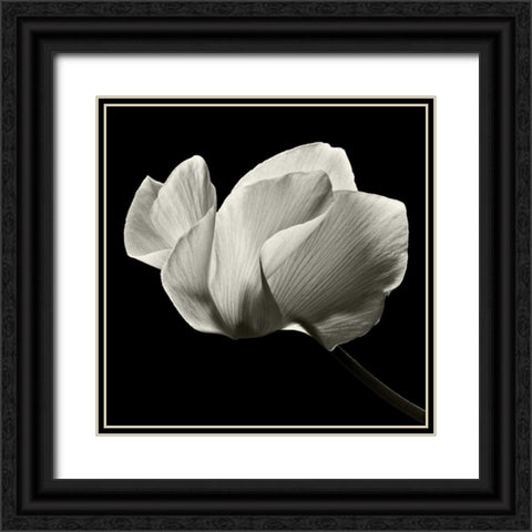 Numen Black Ornate Wood Framed Art Print with Double Matting by Le Blanc, Dawn