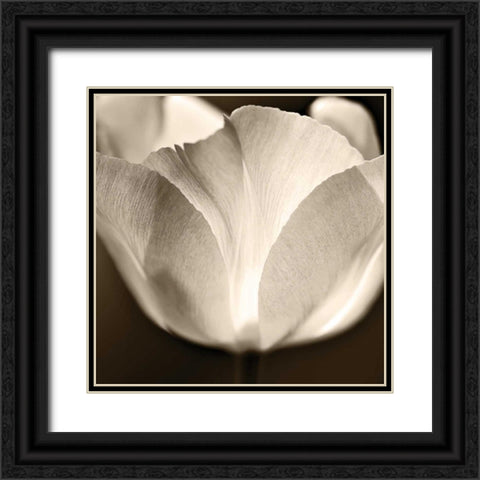 Glow Black Ornate Wood Framed Art Print with Double Matting by Le Blanc, Dawn