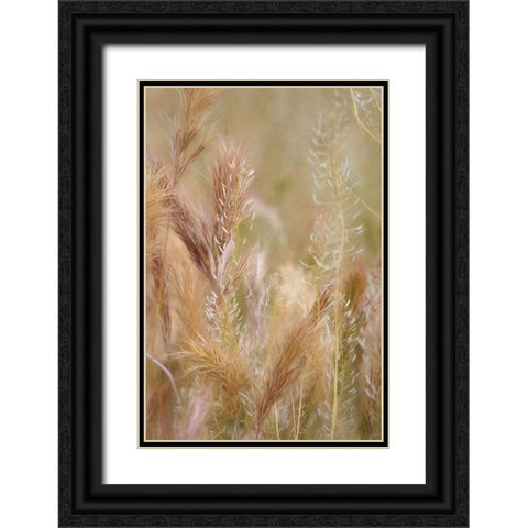 Dreamy Summer I  Black Ornate Wood Framed Art Print with Double Matting by Robertson, Leda