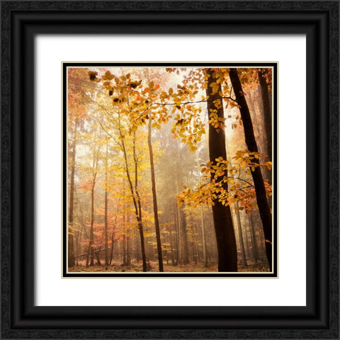 Autumn Blush Black Ornate Wood Framed Art Print with Double Matting by Lehnhardt, Iris