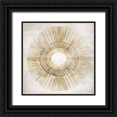 Rattan Decor I Black Ornate Wood Framed Art Print with Double Matting by Lily K
