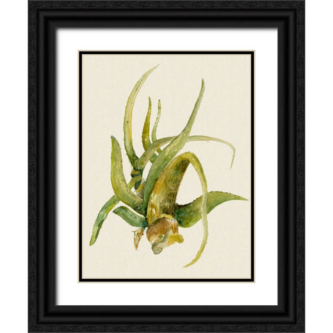 Aloe Vera II Black Ornate Wood Framed Art Print with Double Matting by Woods, Maya