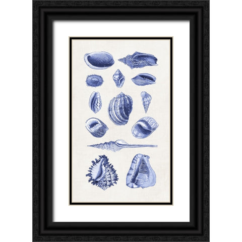 Blue Shells II Black Ornate Wood Framed Art Print with Double Matting by Haase, Andrea