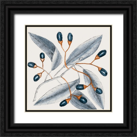 Vintage Blue Botanical I Black Ornate Wood Framed Art Print with Double Matting by Haase, Andrea
