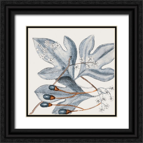 Vintage Blue Botanical II Black Ornate Wood Framed Art Print with Double Matting by Haase, Andrea
