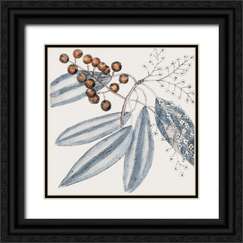 Vintage Blue Botanical IV Black Ornate Wood Framed Art Print with Double Matting by Haase, Andrea