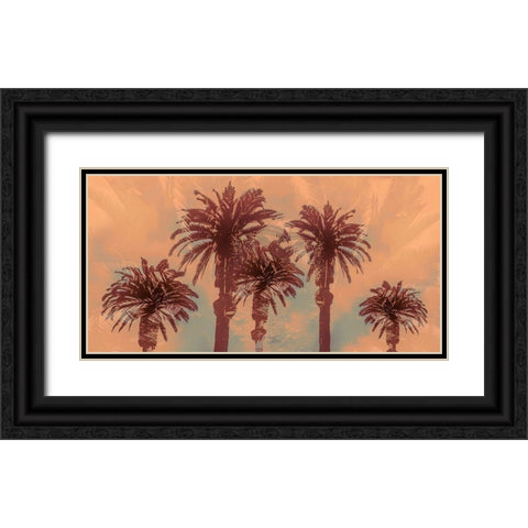 Palm Springs Black Ornate Wood Framed Art Print with Double Matting by Stelfox, Norm