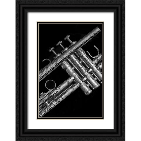 Silver Trumpet  Black Ornate Wood Framed Art Print with Double Matting by Stelfox, Norm