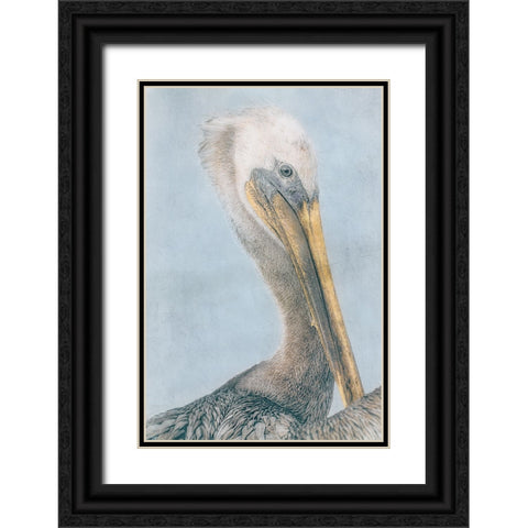 Long Beak Bird I Black Ornate Wood Framed Art Print with Double Matting by Stelfox, Norm