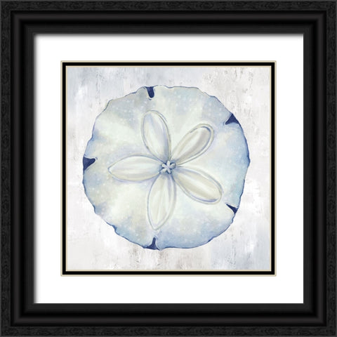 Blue Sand Dollar Black Ornate Wood Framed Art Print with Double Matting by Jones, Eli