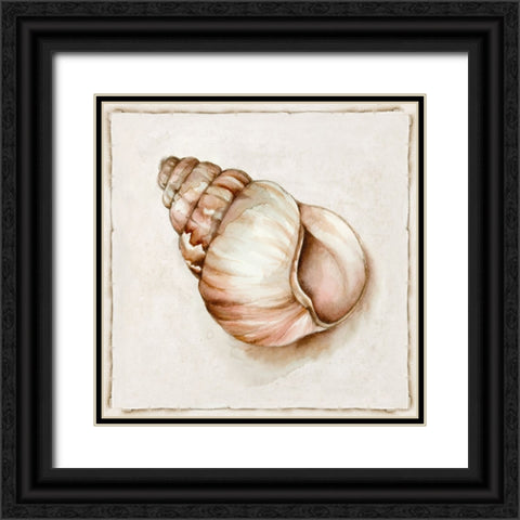 Pink Vintage Shell I Black Ornate Wood Framed Art Print with Double Matting by Jones, Eli