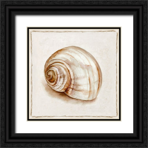 Pink Vintage Shell II Black Ornate Wood Framed Art Print with Double Matting by Jones, Eli