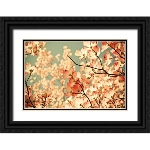 Pink Pic Black Ornate Wood Framed Art Print with Double Matting by St. Clair, Olivia Joy