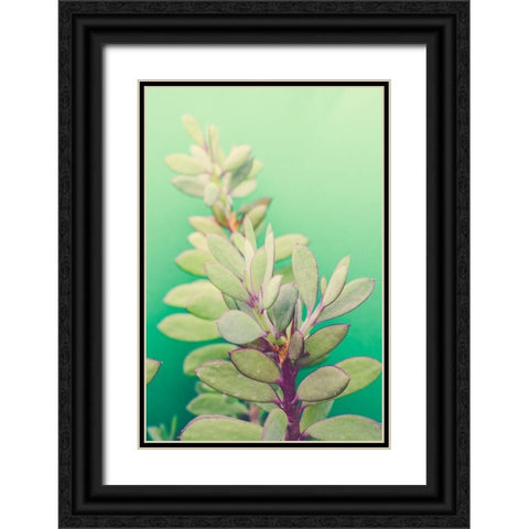 Green Blossom  Black Ornate Wood Framed Art Print with Double Matting by Joy, Olivia