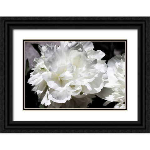 White Peony I  Black Ornate Wood Framed Art Print with Double Matting by Orlov, Irena