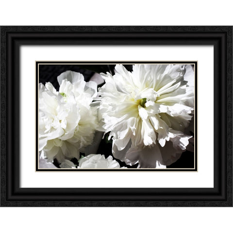 White Peony II  Black Ornate Wood Framed Art Print with Double Matting by Orlov, Irena