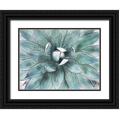 Stunning Agave II Black Ornate Wood Framed Art Print with Double Matting by Orlov, Irena