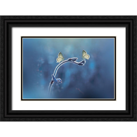 Priyadi-Two Butterflies Meet Each Other Black Ornate Wood Framed Art Print with Double Matting by 1x