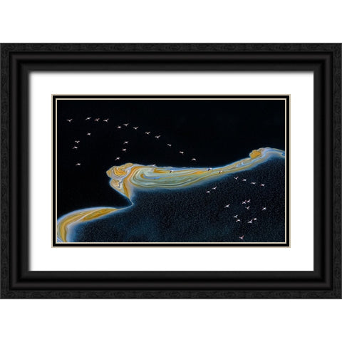 Dancer  in the Sky Black Ornate Wood Framed Art Print with Double Matting by Fischer