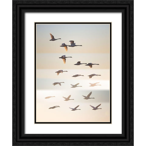 Past The Sun Black Ornate Wood Framed Art Print with Double Matting by Londal