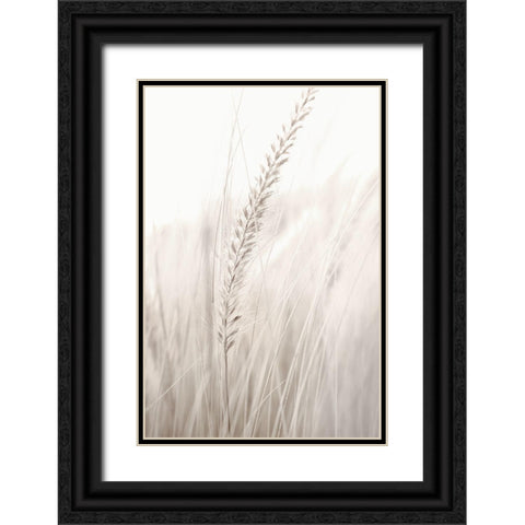 Grass Black Ornate Wood Framed Art Print with Double Matting by Studio III