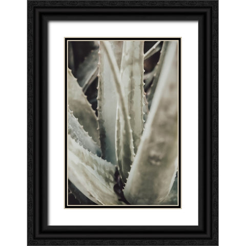 Studio III - Aloe 001 Black Ornate Wood Framed Art Print with Double Matting by Studio III