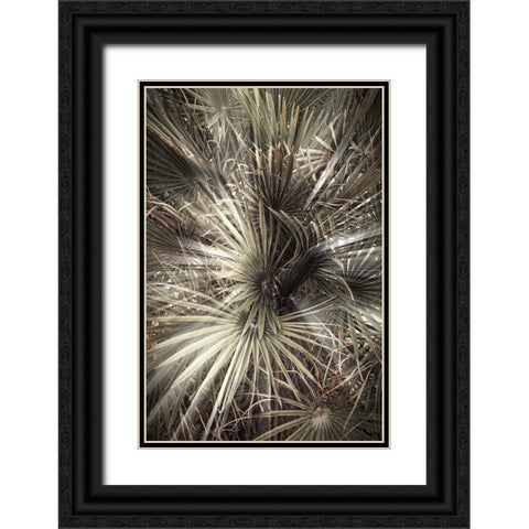 Studio III - Palmblad 006 Black Ornate Wood Framed Art Print with Double Matting by Studio III