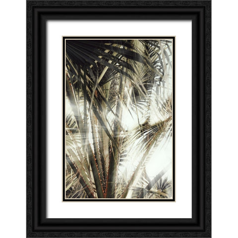 Studio III - Palmblad 003 Black Ornate Wood Framed Art Print with Double Matting by Studio III