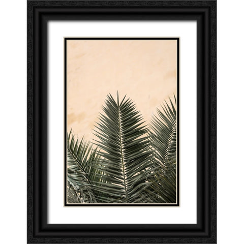 Studio III - Palm leaves and Wall Black Ornate Wood Framed Art Print with Double Matting by Studio III