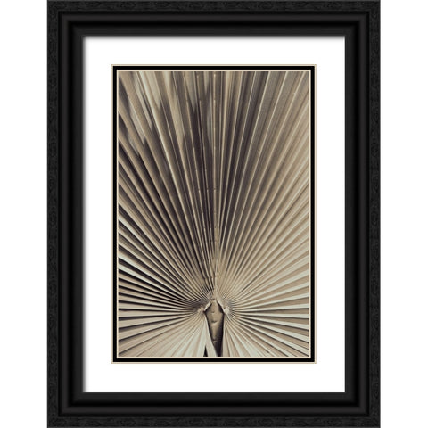 Studio III - Palmblad 001 Black Ornate Wood Framed Art Print with Double Matting by Studio III