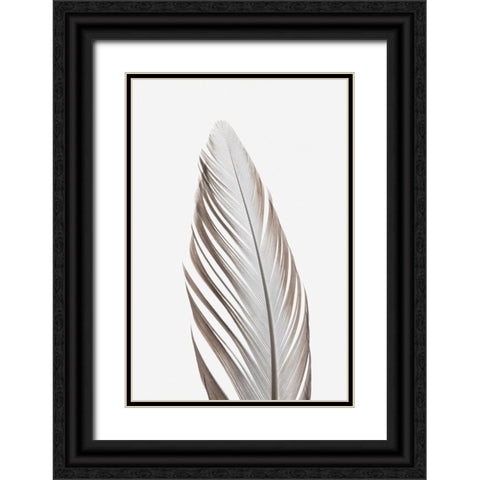 Studio III - Feather 003  Black Ornate Wood Framed Art Print with Double Matting by Studio III