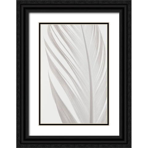 Studio III - Feather 006 Black Ornate Wood Framed Art Print with Double Matting by Studio III