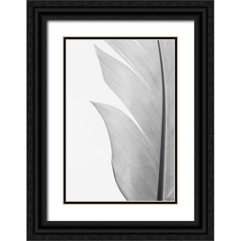 Studio III - Feather 004 Black Ornate Wood Framed Art Print with Double Matting by Studio III