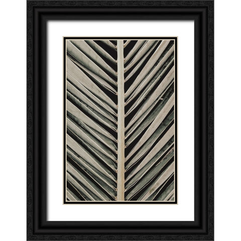 Studio III - Palmblad 005  Black Ornate Wood Framed Art Print with Double Matting by Studio III
