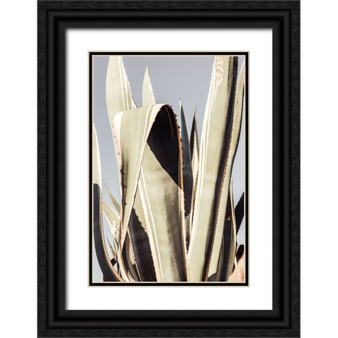 Studio III - Agave 001 Black Ornate Wood Framed Art Print with Double Matting by Studio III