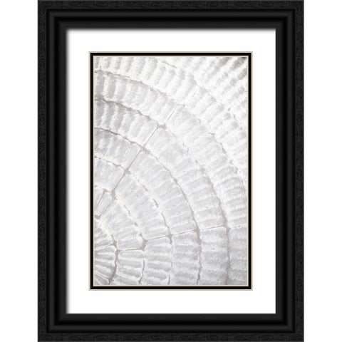 Studio III - Pattern Plate I  Black Ornate Wood Framed Art Print with Double Matting by Studio III