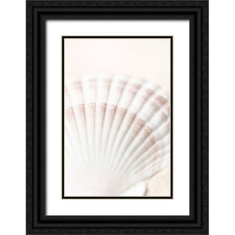 Studio III - Shell  Black Ornate Wood Framed Art Print with Double Matting by Studio III