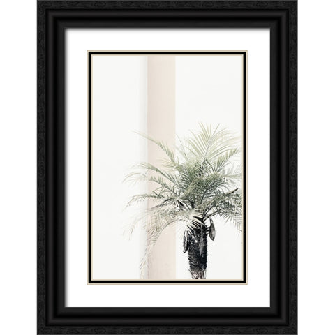 Studio III - Palm Tree  Black Ornate Wood Framed Art Print with Double Matting by Studio III