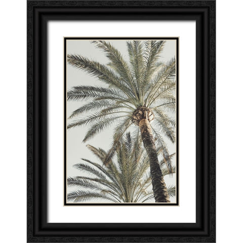 Studio III - Palm 005  Black Ornate Wood Framed Art Print with Double Matting by Studio III