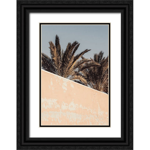 Studio III - Palm  Black Ornate Wood Framed Art Print with Double Matting by Studio III