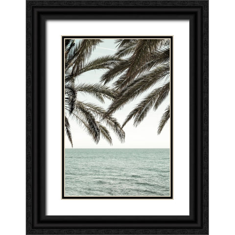 Studio III - Solaris 04 Black Ornate Wood Framed Art Print with Double Matting by Studio III