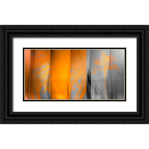 Orange Shades Black Ornate Wood Framed Art Print with Double Matting by PI Studio