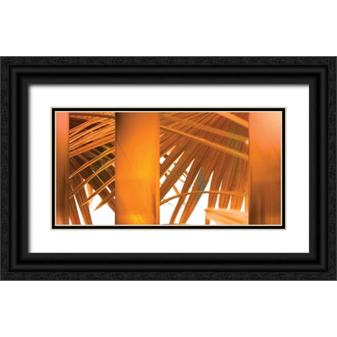 Tangerine Black Ornate Wood Framed Art Print with Double Matting by PI Studio