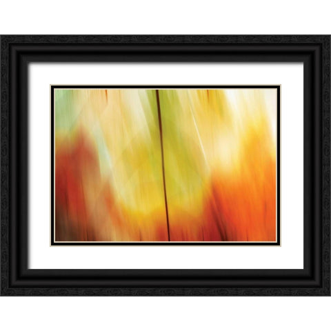 Tie Dye I Black Ornate Wood Framed Art Print with Double Matting by PI Studio