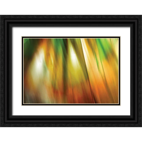 Tie Dye II Black Ornate Wood Framed Art Print with Double Matting by PI Studio