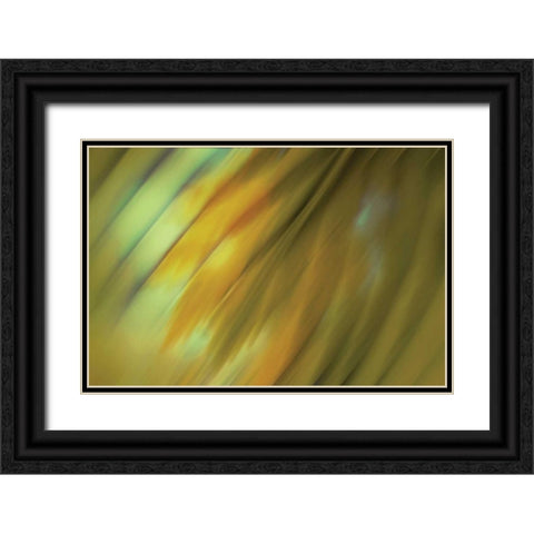 Tie Dye III Black Ornate Wood Framed Art Print with Double Matting by PI Studio