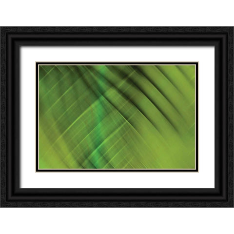 Tie Dye IV Black Ornate Wood Framed Art Print with Double Matting by PI Studio