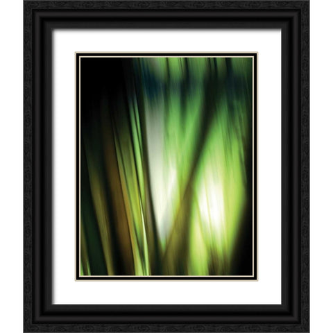 Organic I Black Ornate Wood Framed Art Print with Double Matting by PI Studio