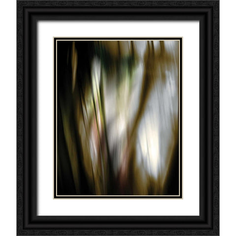 Organic III Black Ornate Wood Framed Art Print with Double Matting by PI Studio