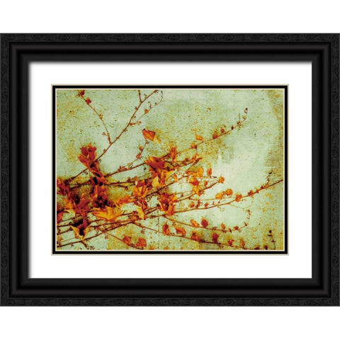 Persimmon Black Ornate Wood Framed Art Print with Double Matting by PI Studio